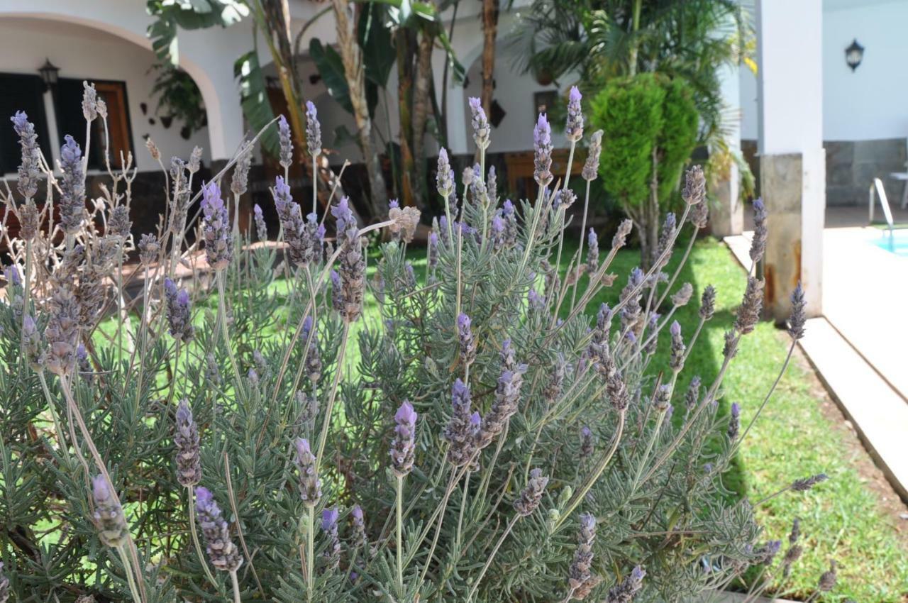Bonita Casa Calida Para El Relax Con Wifi Valsequillo de Gran Canaria Dış mekan fotoğraf